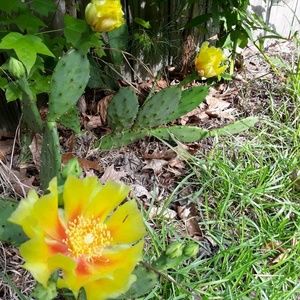 Meet your Posher, Charlene